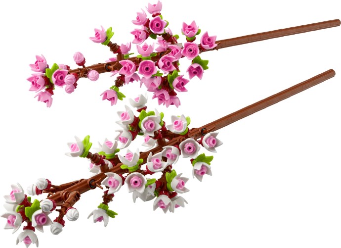LEGO® Cherry Blossoms Celebration Gift 40725 - De BrickPlaats
