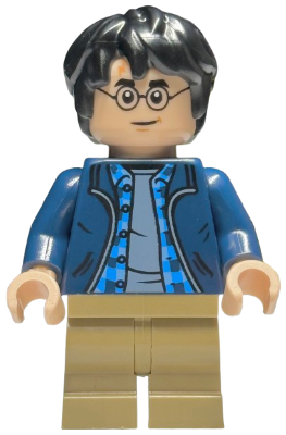 Minifig hp544